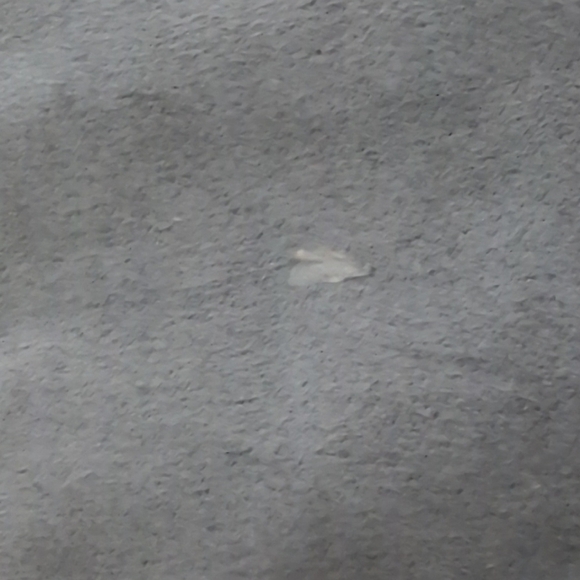 Charming Charlie Tall Bow Back Detail Grey Suede Heeled Boots - Picture 8 of 12